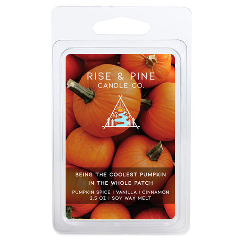 Toasted Pumpkin Spice Wax Melt