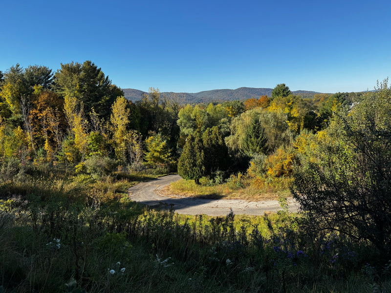 7 Things to Do in the Berkshires This Fall | Massachusetts Travel Guide